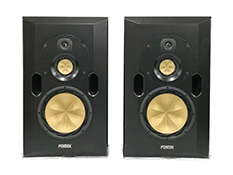 FOSTEX RS-N2