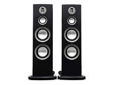 MONITOR AUDIO Platinum PL300