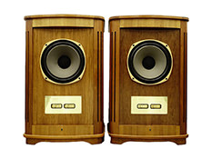 TANNOY Canterbury 15